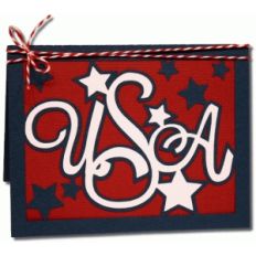a2 usa card