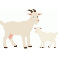 goat and goatling