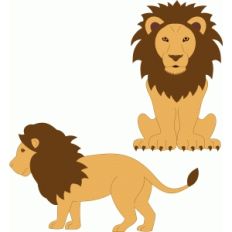 lion