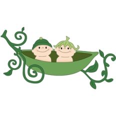 peas in a pod
