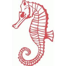 seahorse