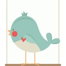 bird