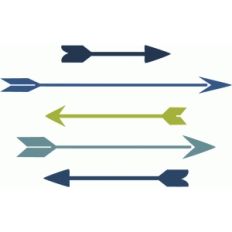 5 thin arrows