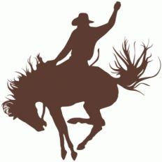 cowboy rider
