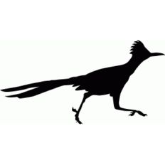 roadrunner silhouette