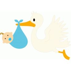 stork baby boy