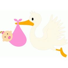stork baby girl