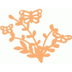 butterfly family