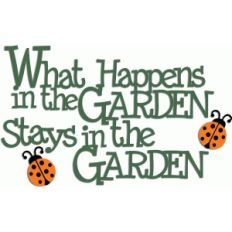 what happens in the garden