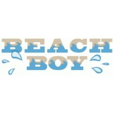 beach boy phrase