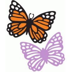 butterflies