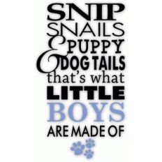 what little boys are made of