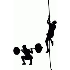 workout set back squat