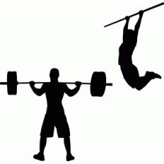 workout set pullup