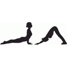 yoga set downward facing dog