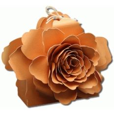 3d piscali tea rose flower treat box
