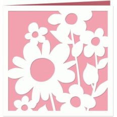 daisies card