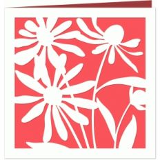 black eyed susan card
