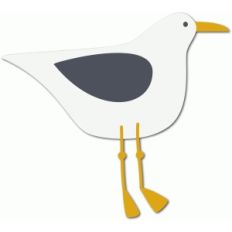 seagull