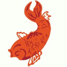 koi fish
