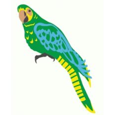 bright parrot