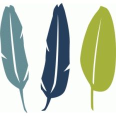 3 medium feathers