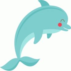 cute dolphin
