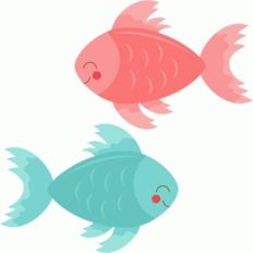 betta fish