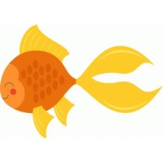 goldfish