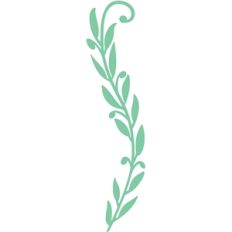 vine