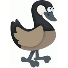 g is for goose