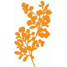 autumn sprig