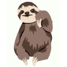 cute sloth