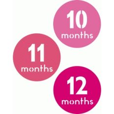 10, 11, 12 months