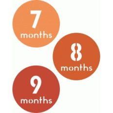 7, 8, 9 months