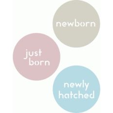 newborn