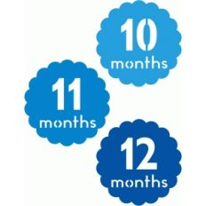 10, 11, 12 months