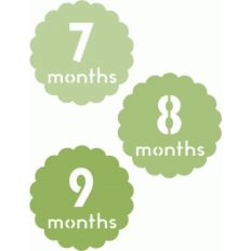 7, 8, 9 months