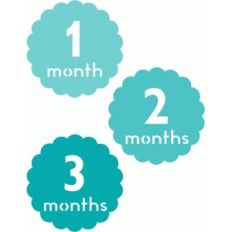 1, 2, 3 months