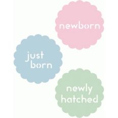 newborn