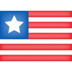 calendar icon - flag day