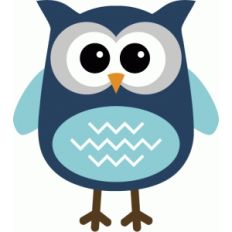 cute owl