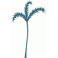 palm tree