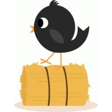 crow on hay bale