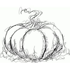 pumpkin sketch
