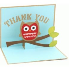 a2 thank you owl  pop up card
