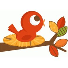 fall bird