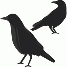 crow set