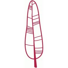 feather papercut