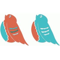 little bird
